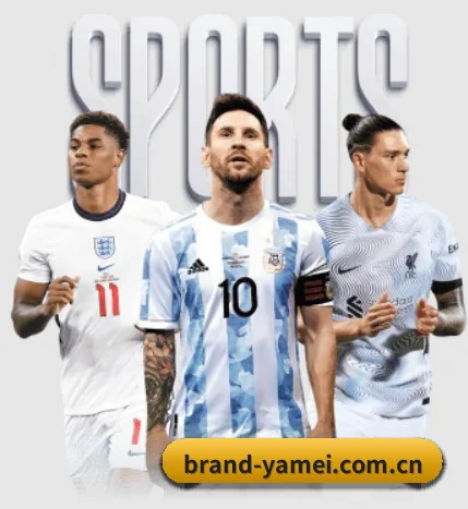突破五百万订阅量 - 与数十家海外顶级体育流媒体及数据供应商达成深度协议,资讯触角直达豪门更衣室,高阶专栏订阅量呈指数级攀升。