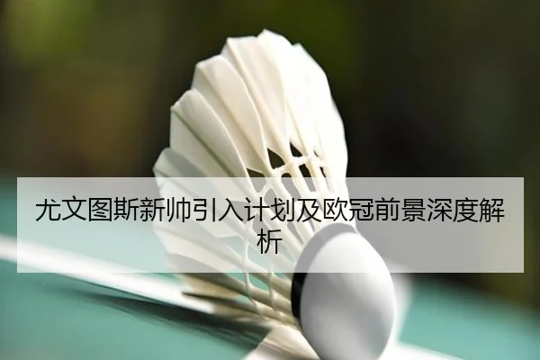 you-wen-tu-si-xin-shuai-yin-ru-ji-hua-ji-ou-guan-qian-jing-shen-du-jie-xi-2-738.jpg